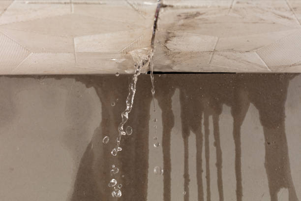 Professional Burst Pipe Cleanup technician working in Agawam, MA